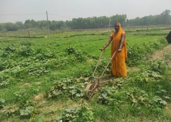 तरकारी खेतीबाट मनग्य आम्दानी