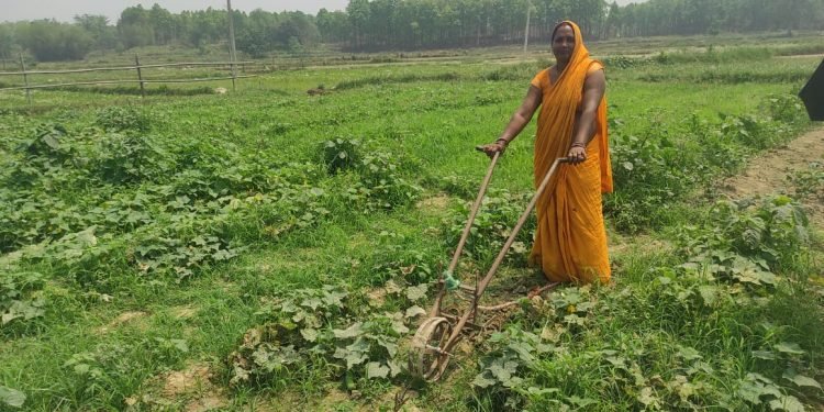 तरकारी खेतीबाट मनग्य आम्दानी