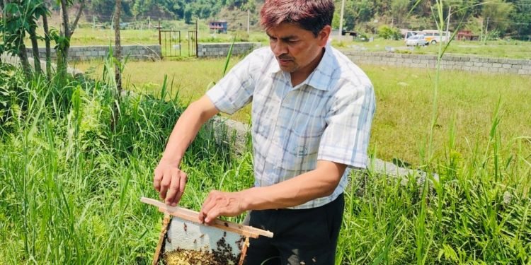 रोजगारी नपाएपछि मौरीघार उद्योग सञ्चालन गरेका सूर्यप्रसाद वार्षिक २५ लाख कमाउँछन्