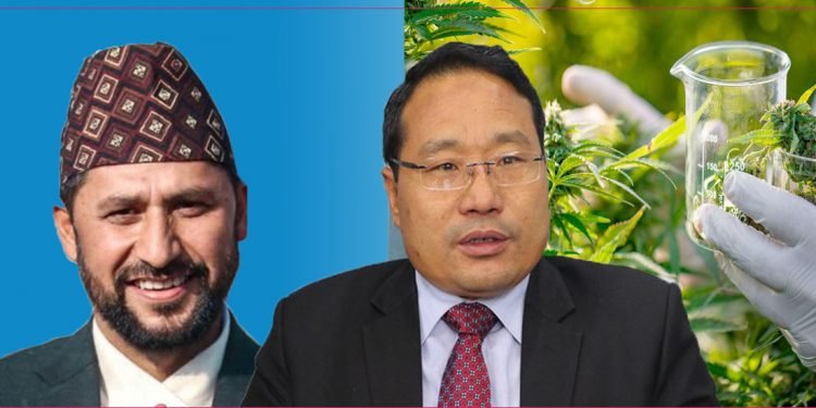 अर्थमन्त्री पुनले बोले वास्तविकता : बजेट प्रस्तुत गर्दाको झोला नै गाँजाबाट बनेको हो, अनुसन्धानका लागि गाँजा तत्काल खुला गरौं