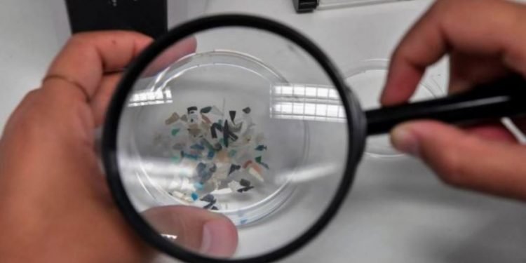 जापानमा ४८ घन्टामै मानिसको मृत्यु गराउने ब्याक्टेरिया फैलियो