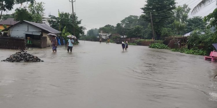 वर्षाले विराटनगरका बस्ती जलमग्न