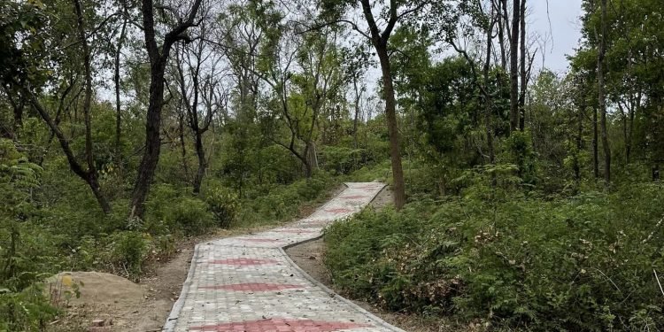 चिडिया तालसम्म पदमार्ग निर्माण