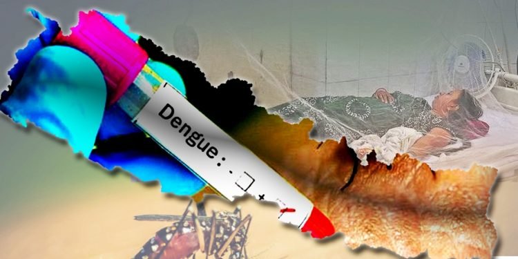 डेंगु सङ्क्रमण ६९ जिल्ला फैलियो, सबैभन्दा बढी काठमाडौंमा