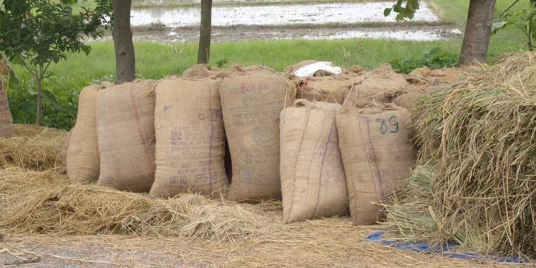 धानले मूल्य नपाउँदा झापाका किसान चिन्तित