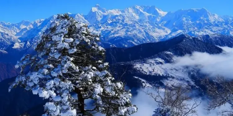 हिमालमा यो पालि पनि हिउँको मात्रामा कमी, निम्तिन सक्छ पानीको सङ्कट, घट्न सक्छ बिजुलीको उत्पादन