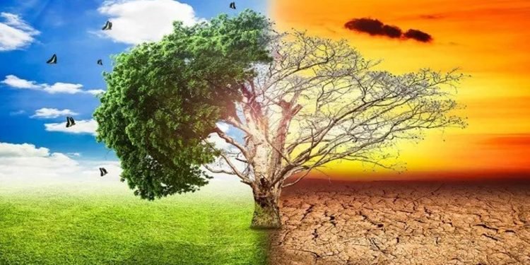 जलवायु परिवर्तनका कारण जङ्गलहरुमा आगलागी बढ्दै