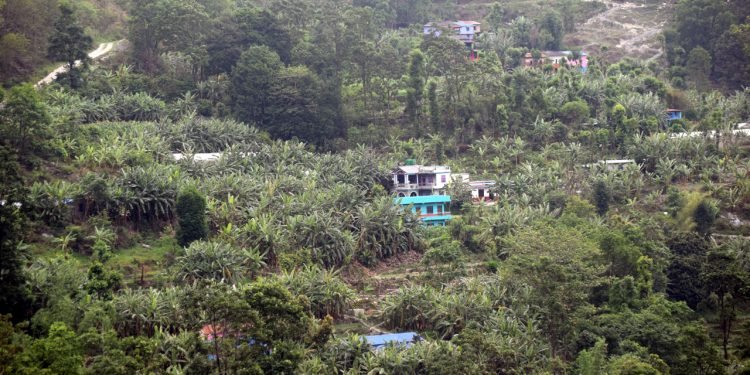 केराखेतीबाट तीन करोड आम्दानी