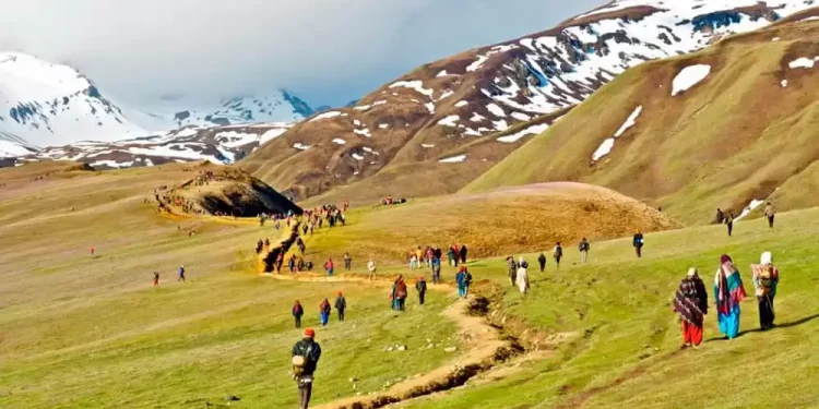 मुगुमा यार्सा संकलनका क्रममा चारजनाको मृत्यु, एक सिकिस्त