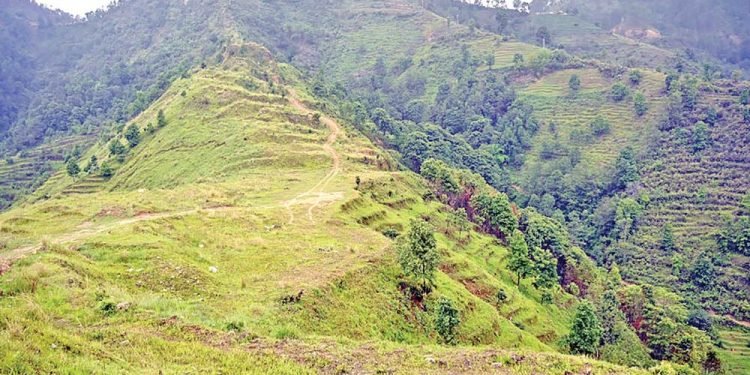 हदबन्दीको जग्गामा पतञ्जलीको रजाइँ,सिआइबीको अनुसन्धान सुरु