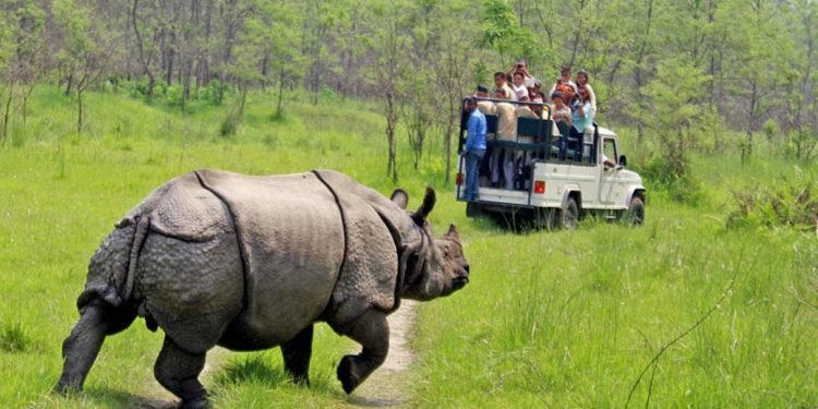 चितवन राष्ट्रिय निकुञ्जमा आजदेखि सफारी बन्द