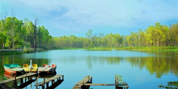 पर्यटकको रोजाइमा मोरङको ‘वेतना सिमसार’