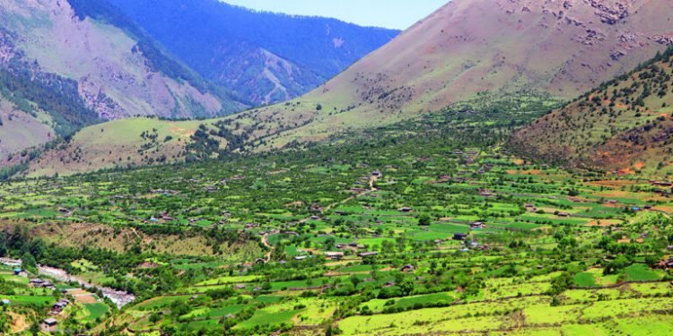 सास्तीमा छन् निसेलढोरवासी