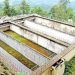 अधुरा खानेपानी आयोजना निर्माण गर्न तीन अर्ब लाग्ने अनुमान