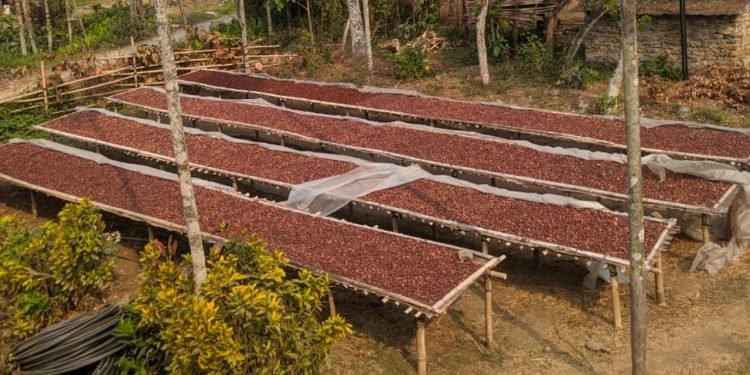 सुपारी प्रशोधनका लागि ४० लाख अनुदान