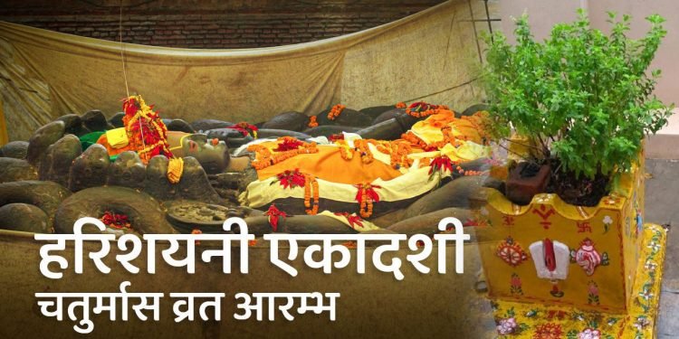 आज हरिशयनी एकादशी, घरघरमा तुलसीको बिरुवा सारिँदै