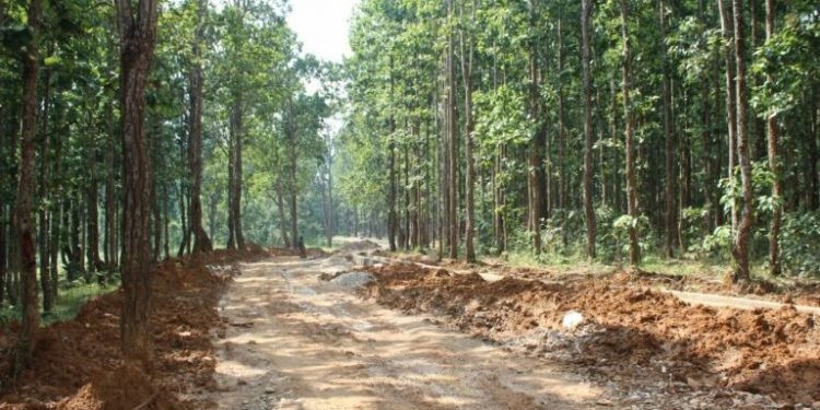 घोराही–रक्षाचौर सडक ३५ वर्षदेखि अधुरो