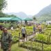 पशुपालनलाई प्रोत्साहन गर्न डाँलेघाँस उत्पादन