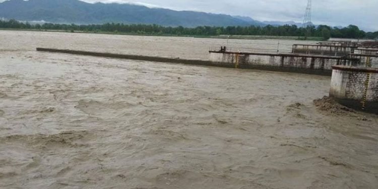 प्रहरीले रोक्दारोक्दै महाकाली नदीमा हामफालिन् धनिसा