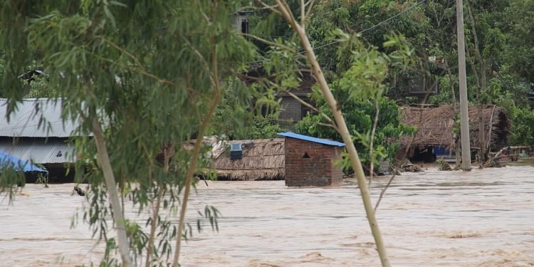 बेलौरीका बाढी प्रभावित परिवार घर फर्कँदै