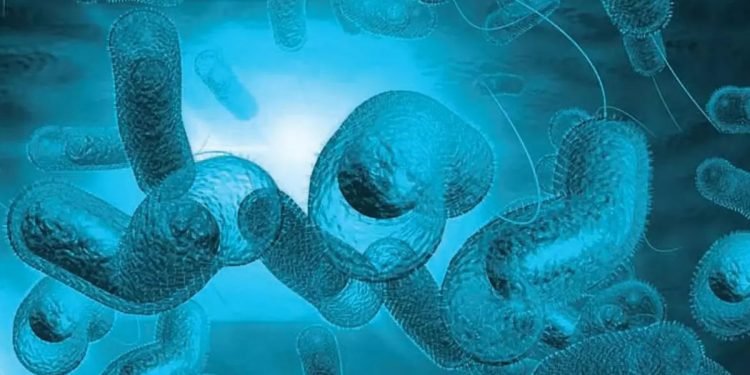 देशभर १० जनामा हैजा संक्रमण, सरसफाइमा विशेष ध्यान दिन विज्ञको सुझाव