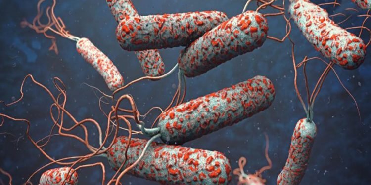 देशभर २० जनामा हैजा पुष्टि, सतर्क रहन आग्रह