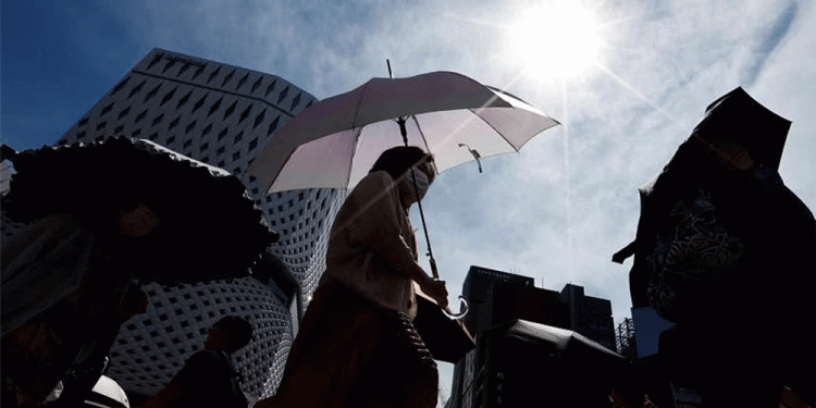 जापानमा कीर्तिमानी गर्मी, कृषि क्षेत्रमा जोखिम