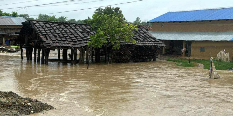 कैलालीका सबै पालिकामा बाढीको प्रभाव