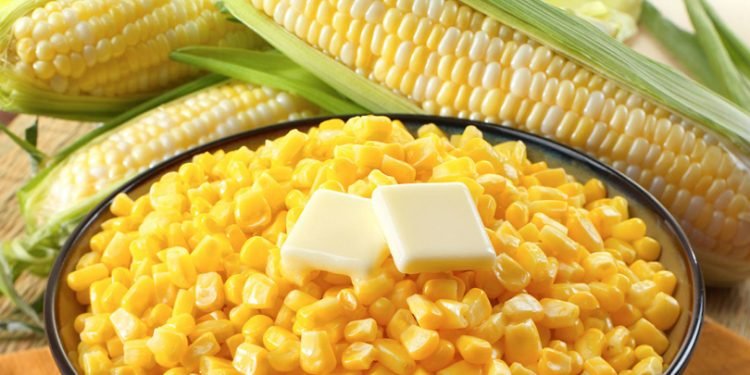 हरियो मकै उमालेर खाँदा हुन्छ यति धेरै फाइदा