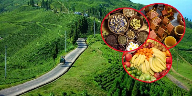 पूर्वीनाकाबाट १९ अर्बको कृषिजन्य वस्तु निर्यात