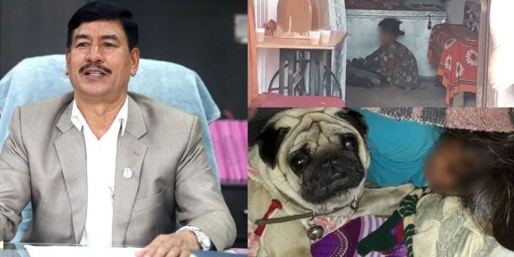 पूर्व कानूनमन्त्री लिलानाथ श्रेष्ठकै घरमा बाल्यकाल तुहाउने गरि बालश्रम शोषण