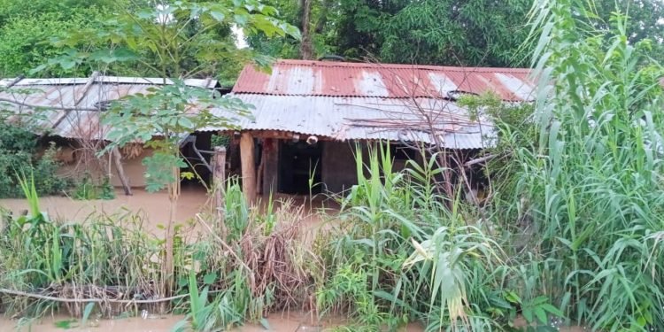 बाढी बस्तीमा पसेपछि कैलाली भजनीका तीन हजार घर डुबानमा