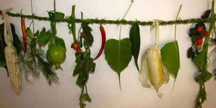 किराती समुदायले सिसेक्पा तङ्नाम पर्व मनाउँदै