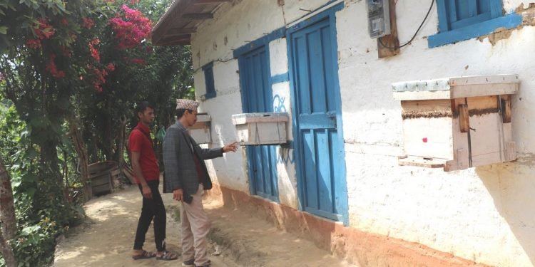 व्यावसायिक मौरीपालनमा जुटे भोजपुर बैकुण्ठेका स्थानीय