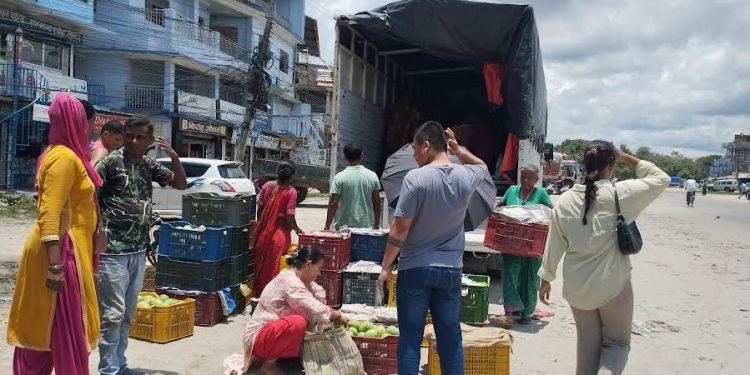 सुनसरीमा आँप उत्पादन घट्यो