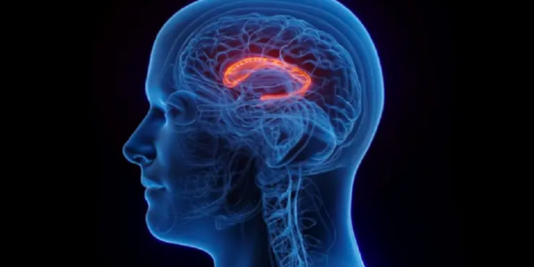 के हामी हाम्रो मस्तिष्कको उमेर घटाउन सक्छौं ?