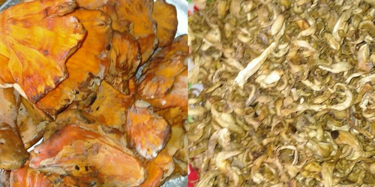 जङ्गली रातो च्याउको माग सहरदेखि विदेशसम्म