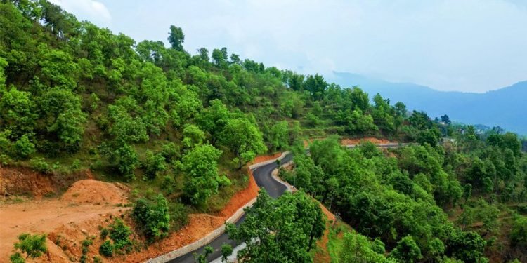सडक डिभिजनद्वारा ५३ किलोमिटर सडक मर्मत