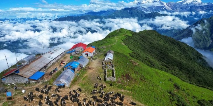 वर्षापछि खुलेको मौसम : धौलागिरी र माछापुच्छ्रे हिमाल