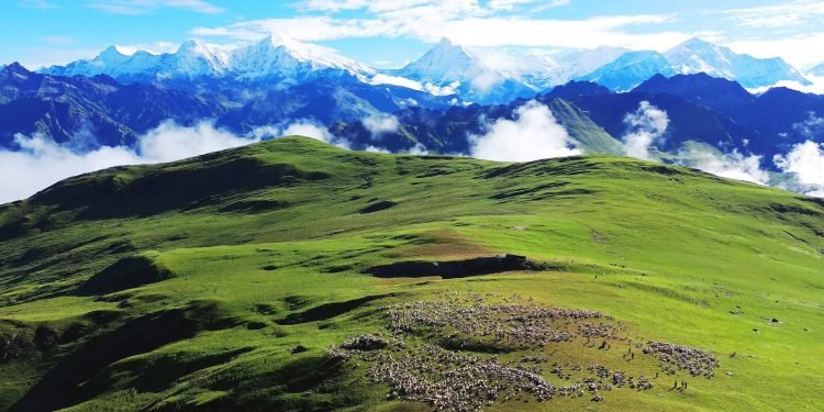 पर्यटक लोभ्याउने ‘ढोरपाटन बुकी’