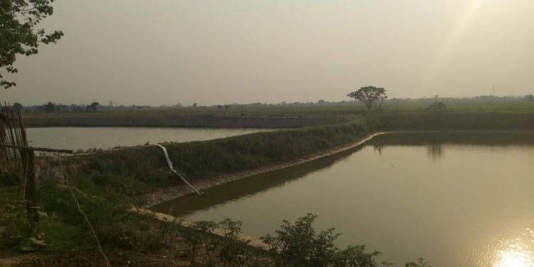 माछापालनप्रति किसानको आकर्षण बढ्दो