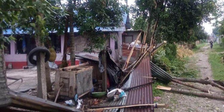हावाहुरीका कारण झापामा क्षति