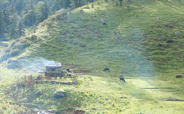 ‘जहाँको दूध बिक्री नै हुँदैन’