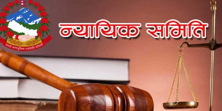 हेटौँडा उपमहानगरमा न्यायिक समितिद्वारा एक सय ८३ मुद्दा फर्स्योट