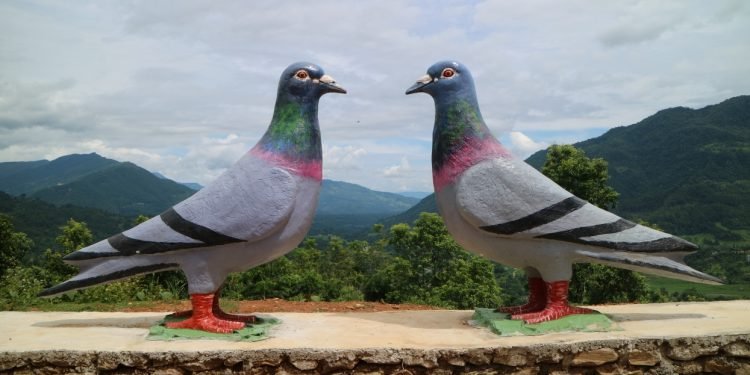 लमजुङको नयाँ पर्यटकीय गन्तब्य जोडी परेवा