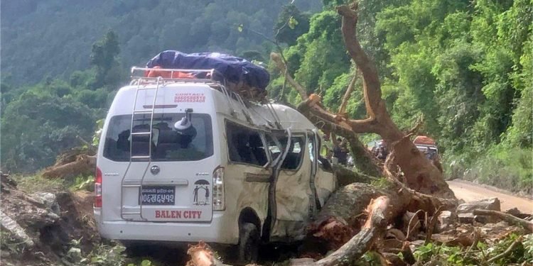गुडिरहेको माइक्रोबसमा रुख बजारिँदा ८ यात्रु घाइते