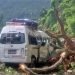 गुडिरहेको माइक्रोबसमा रुख बजारिँदा ८ यात्रु घाइते