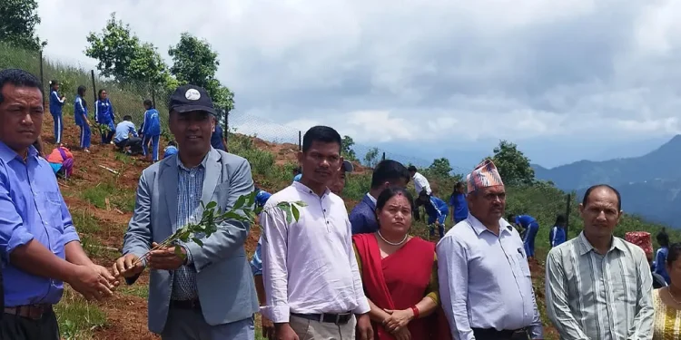 जीविकोपार्जनसँग पर्यटनलाई जोड्न तनहुँमा चियाखेती