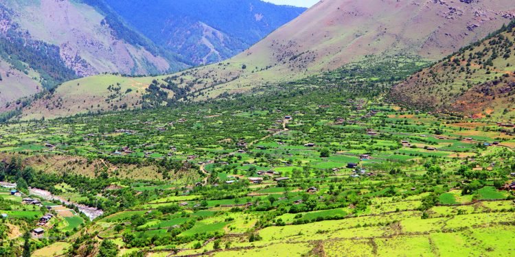 उज्यालो पर्खिरहेको निसेलढोर