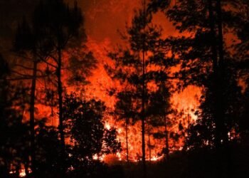 जर्मनीको जङ्गलमा भीषण डढेलो, सयौँ मानिसलाई सुरक्षित स्थलमा सारियो